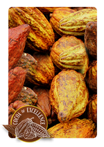 71% Dark Chocolate - Tenor Cocoa Bean Variety